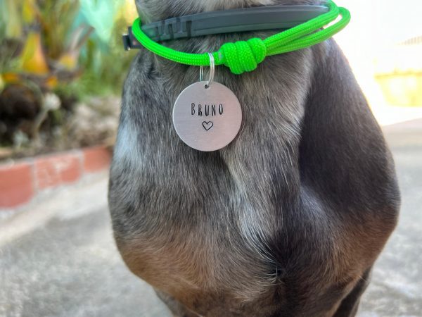 Chapa Personalizada para Perro de Aluminio - Imagen 2