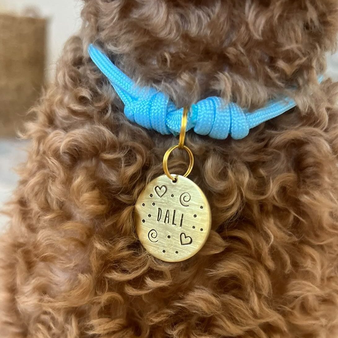 Chapa Personalizada para Perro de Latón