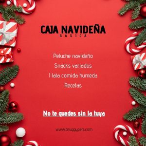 Caja sorpresa básica para perros 🎄