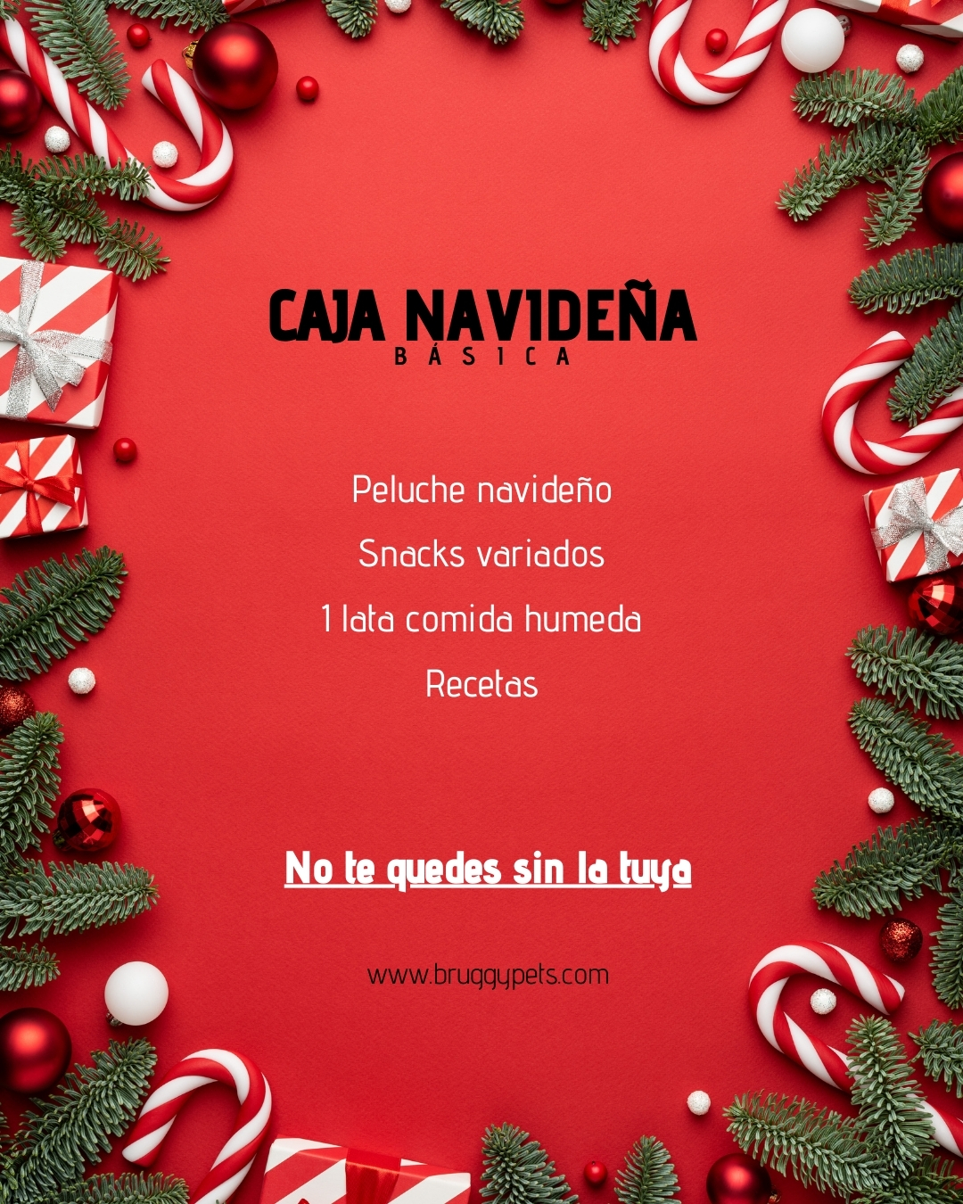 Caja sorpresa básica para perros 🎄