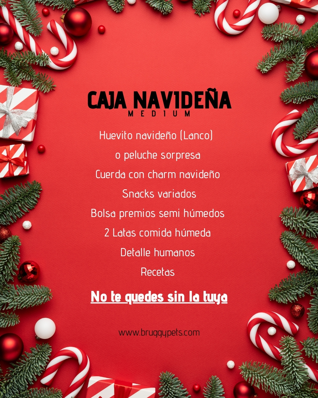 Caja sorpresa medium para perros 🎁