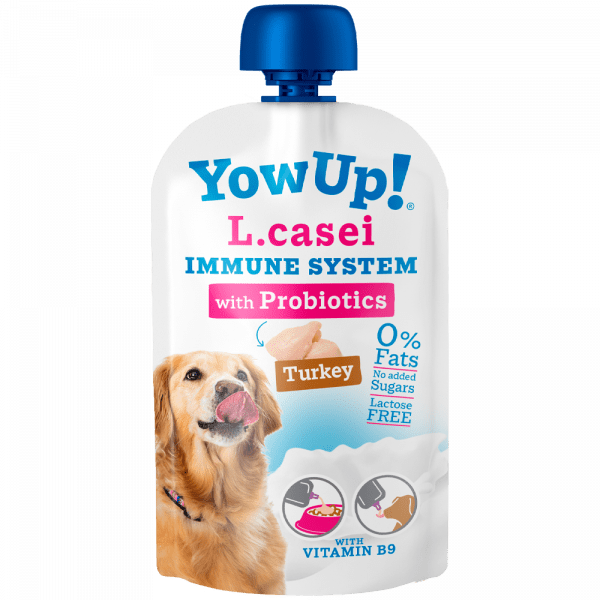 Yowup - L.CASEI Probióticos Perros