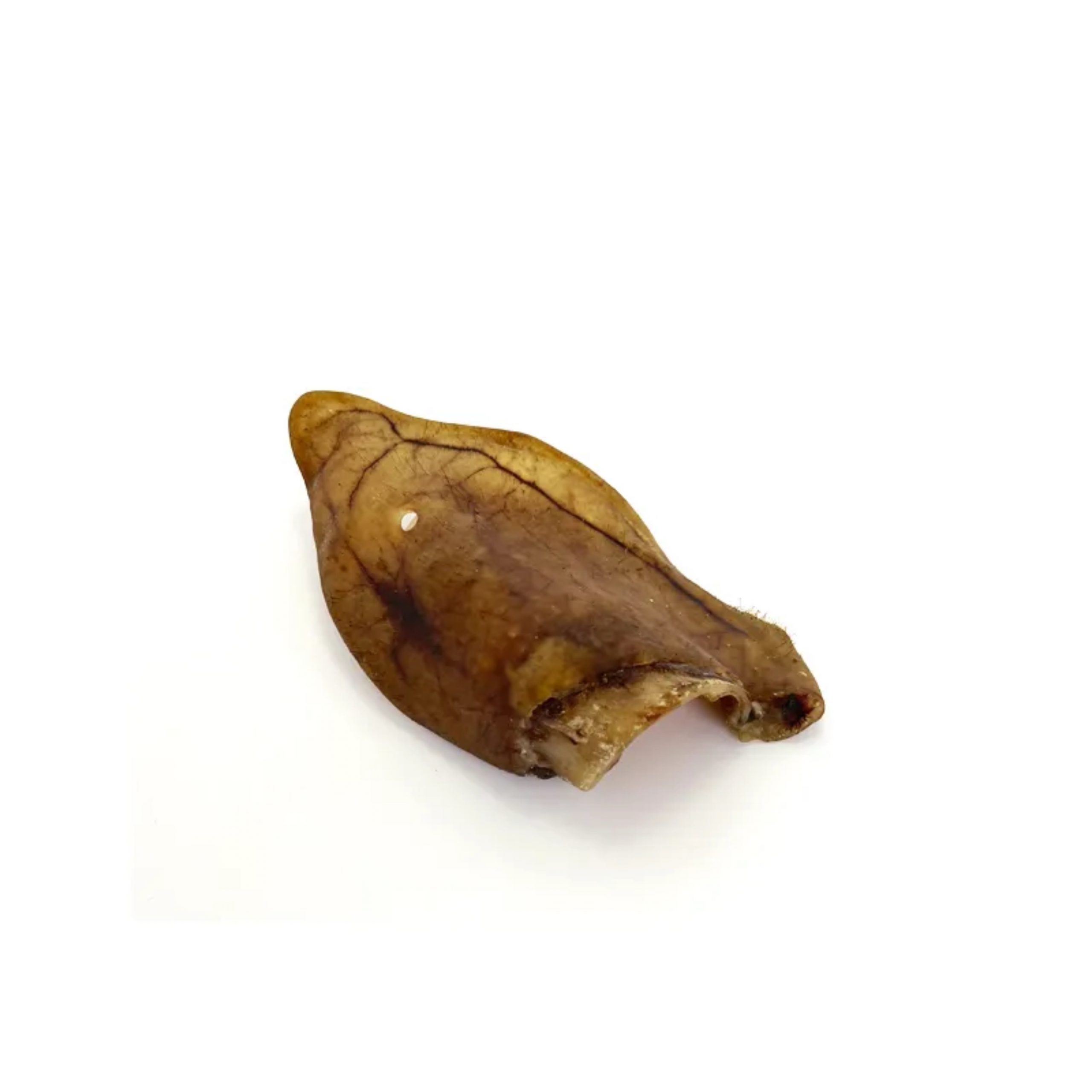 Oreja de Cerdo Ibérico para perro - Snack Dental - Imagen 2