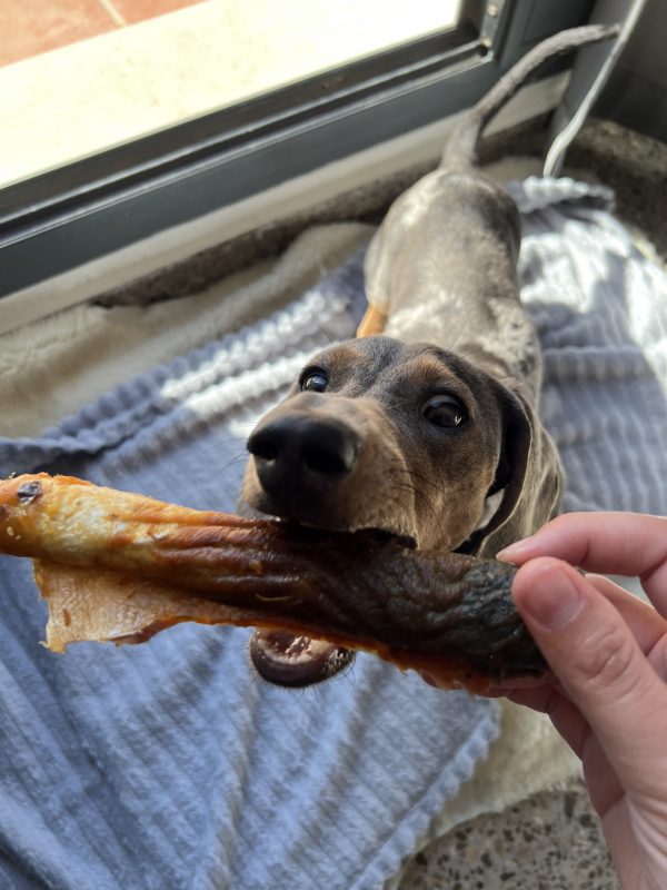 Rollitos de Salmón para perros - Imagen 2