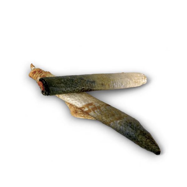 Rollitos de Salmón para perros - Imagen 5