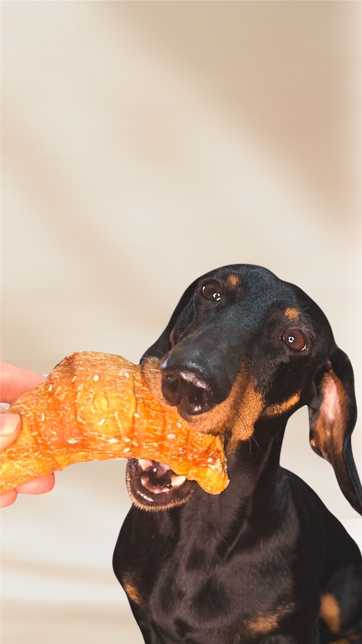 Croissant de Pollo - Imagen 2