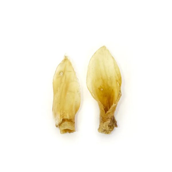 Oreja de Cordero para perro - Snack Dental - Imagen 2