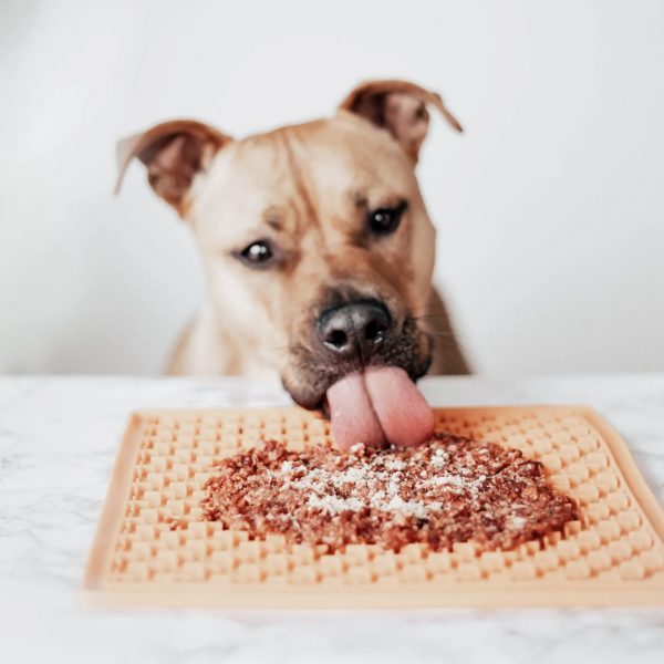 Topper Pechuga de Pollo para perros y gatos - Imagen 2