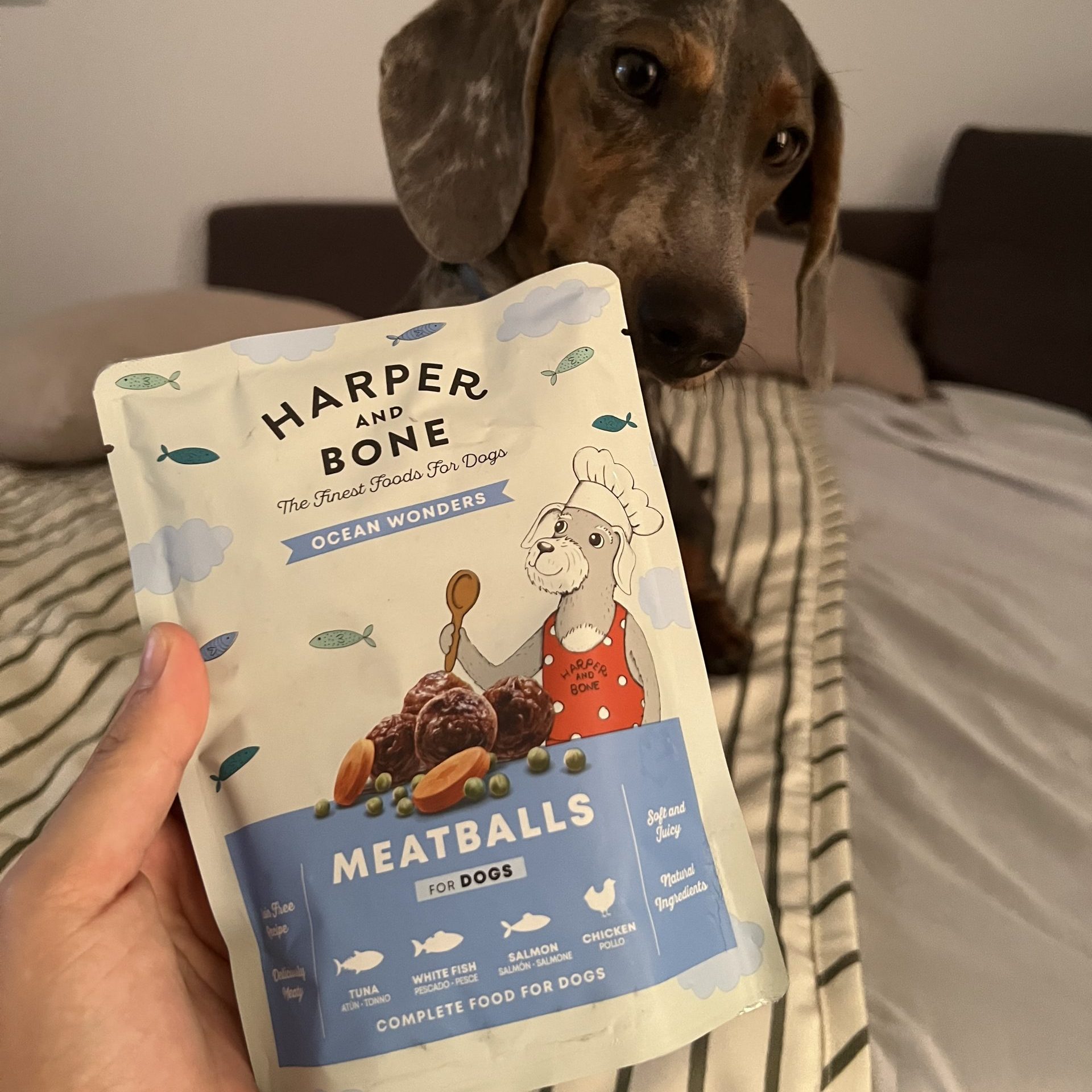 Albóndigas para perros Ocean Wonders (300g) - Harper and Bone - Imagen 2
