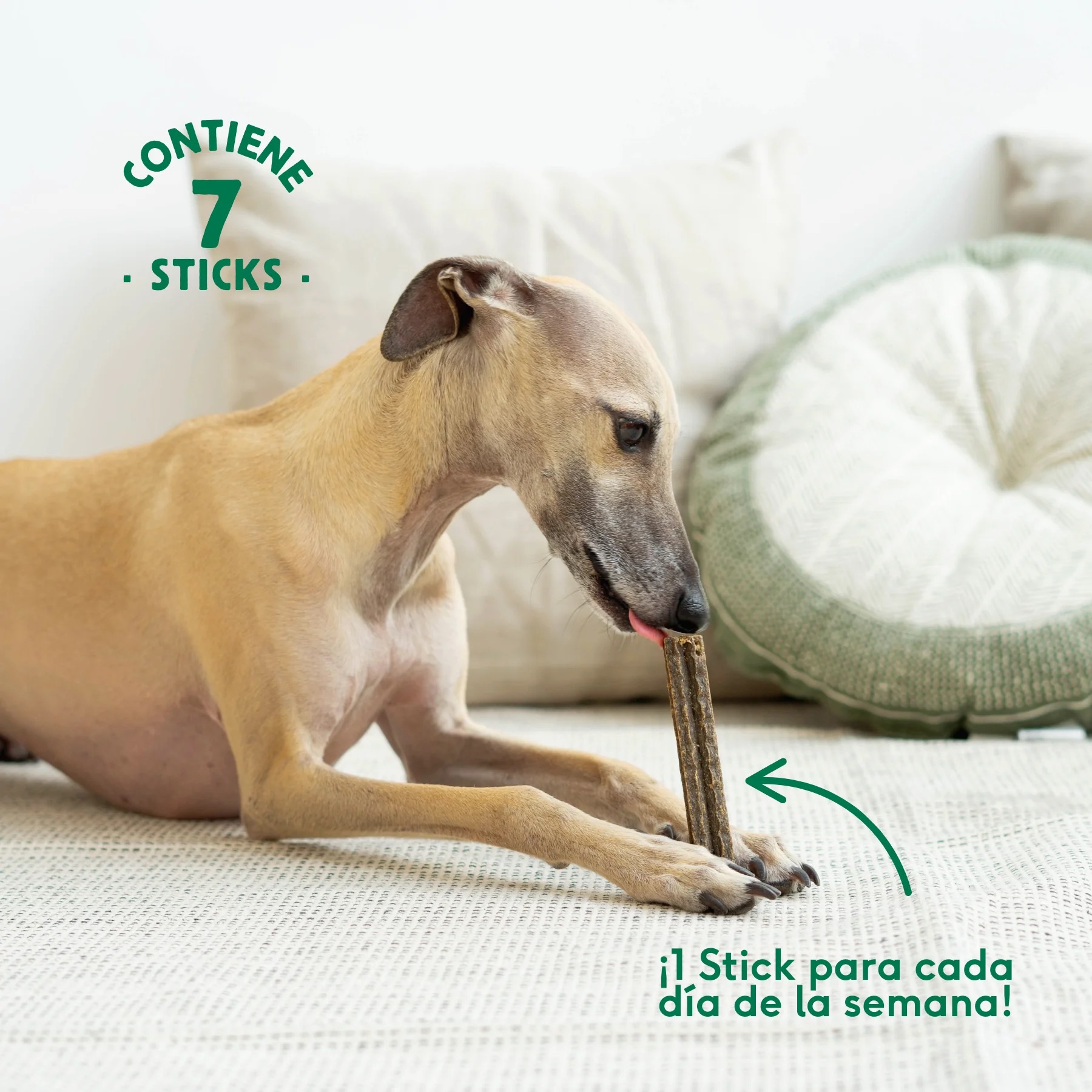 Stick Dental Sensitive Stomach - Wild Balance - Imagen 5