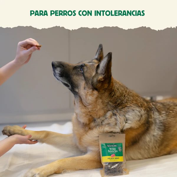 Wild Snacks Pelaje Sano - Wild Balance - Imagen 4