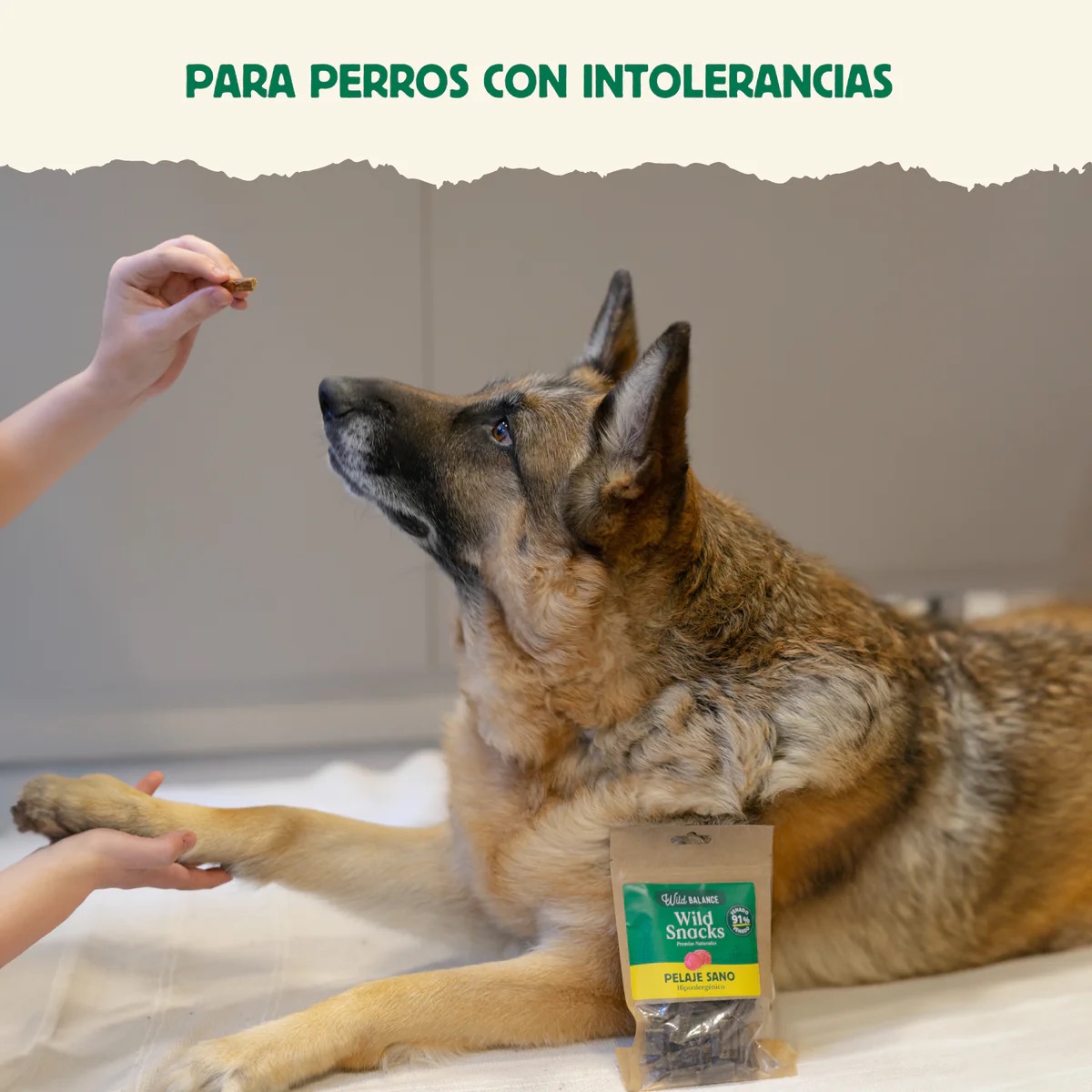 Wild Snacks Pelaje Sano - Wild Balance - Imagen 4