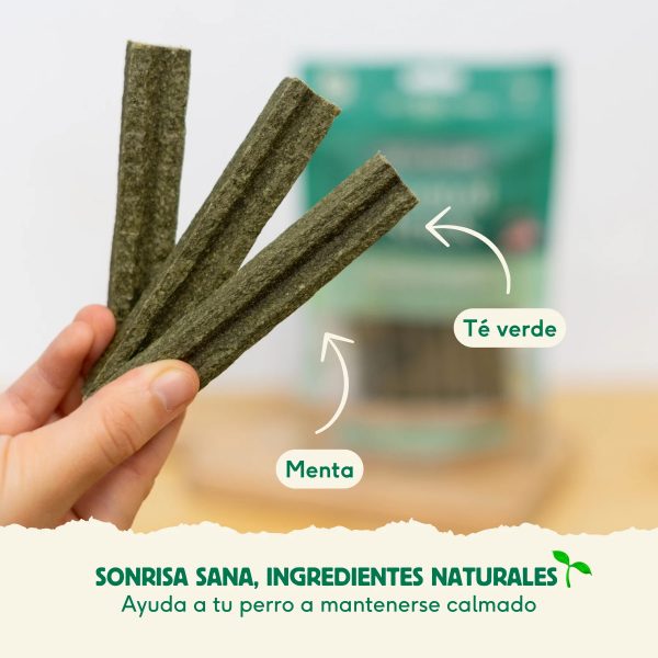 Stick Dental Calming & Chill - Wild Balance - Imagen 4