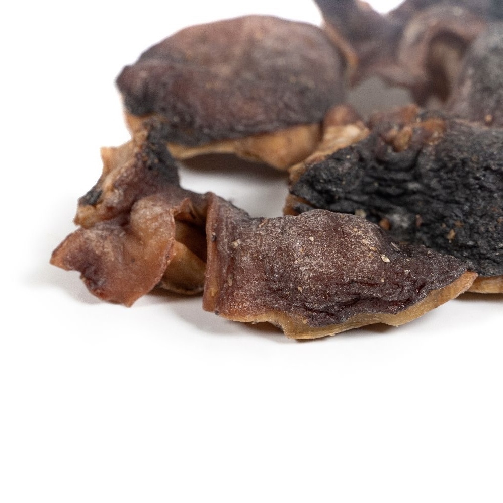 Cabeza de Pulpo Deshidratada (100g) - Imagen 3