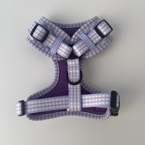 Arnés "Vichy Lavanda" - Imagen 5