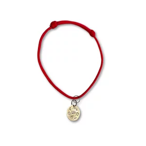 Collar de nudo corredizo ajustable para perro
