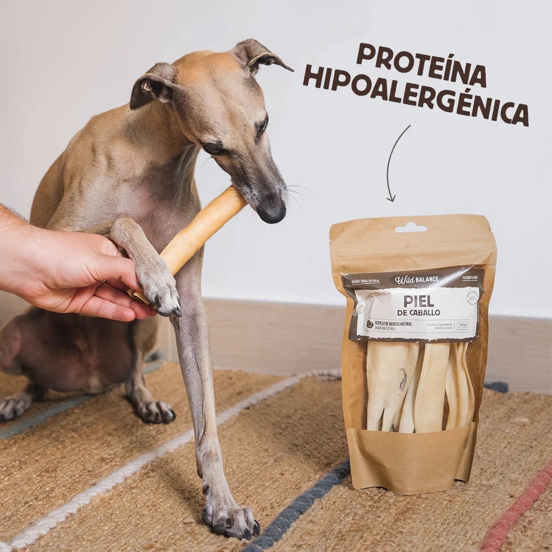 Piel de Caballo - Wild Balance - Imagen 2