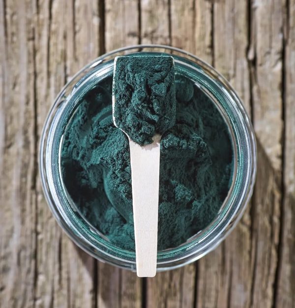 Alga espirulina deshidratada para perros y gatos - Imagen 3