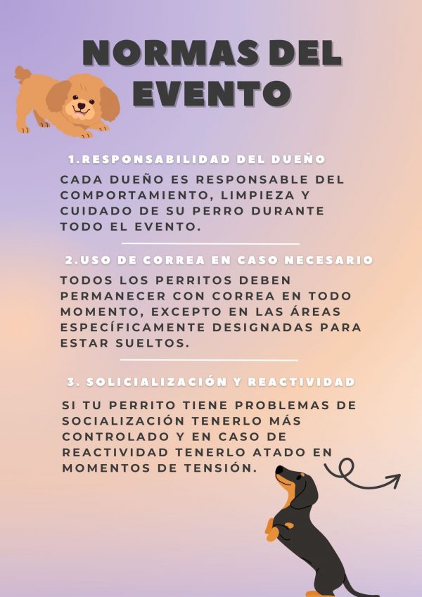 Entrada - GOSSERAFEST - Imagen 5
