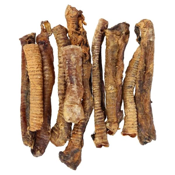 Traquea de Cordero