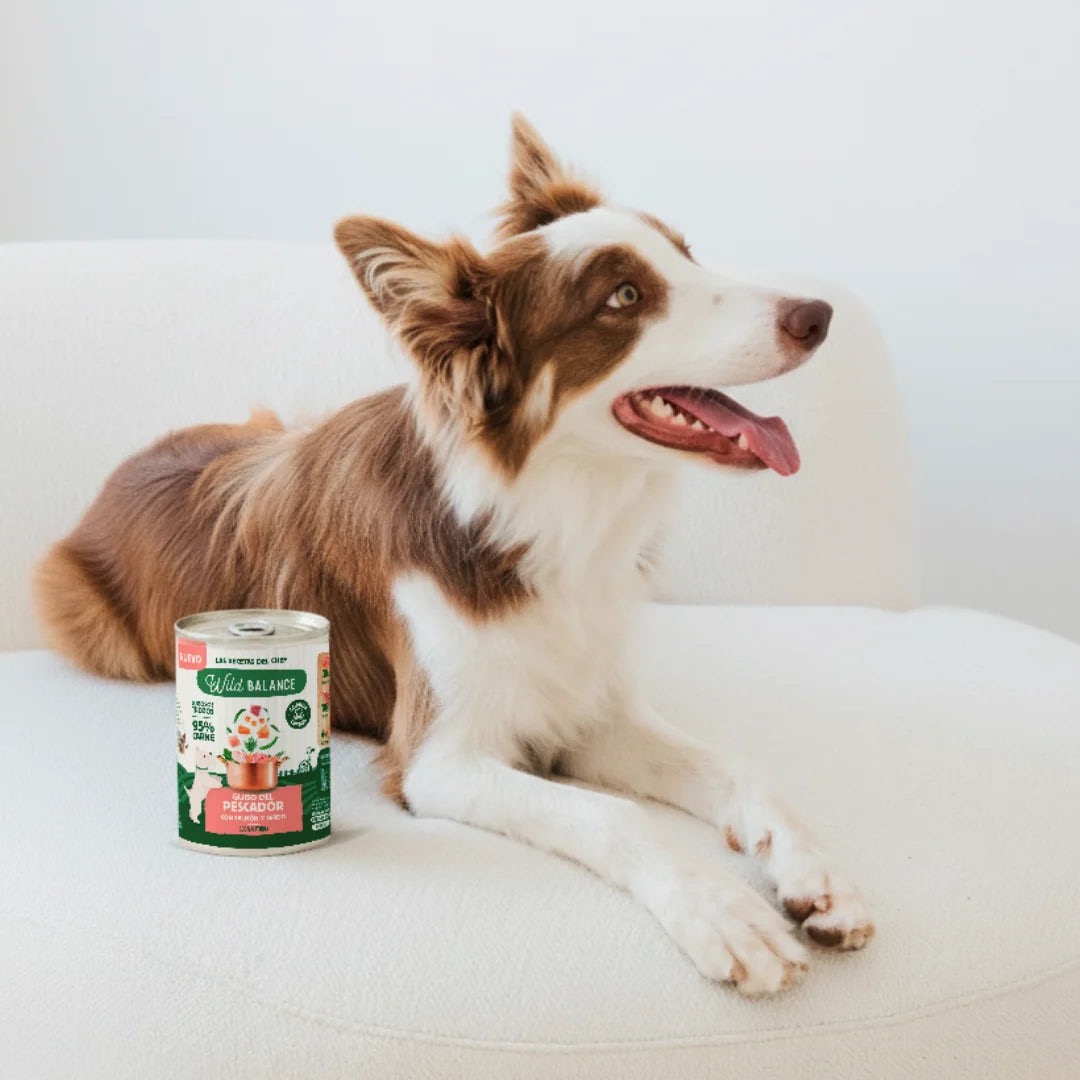 Lata Guiso del Pescador con Salmón y Cerdo para perros (400gr) - Wild Balance - Imagen 7