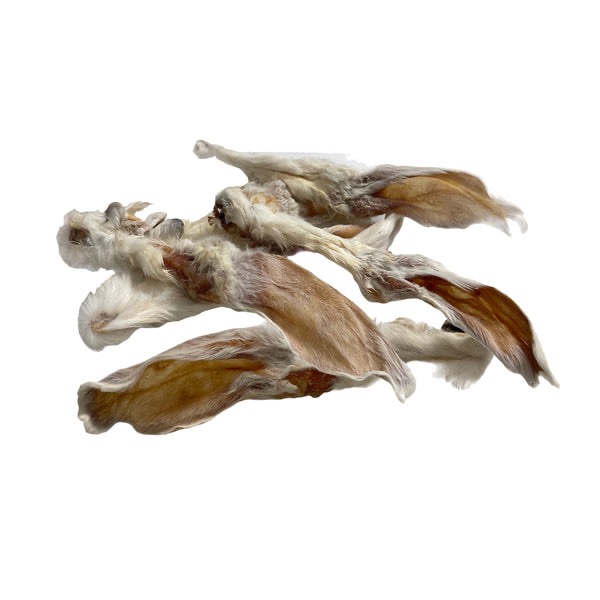 Oreja de Conejo con pelo