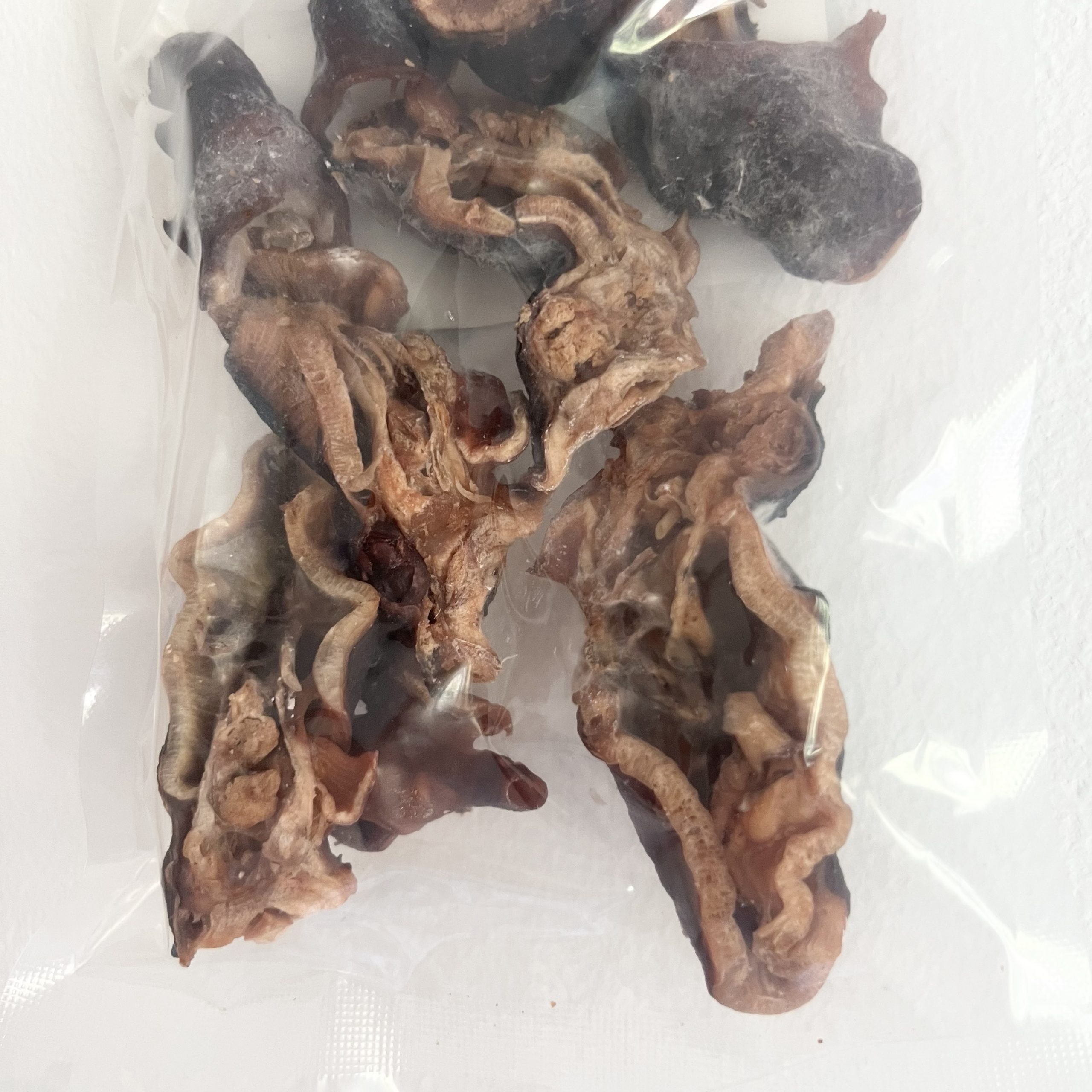 Cabeza de Pulpo - 100g - Imagen 4