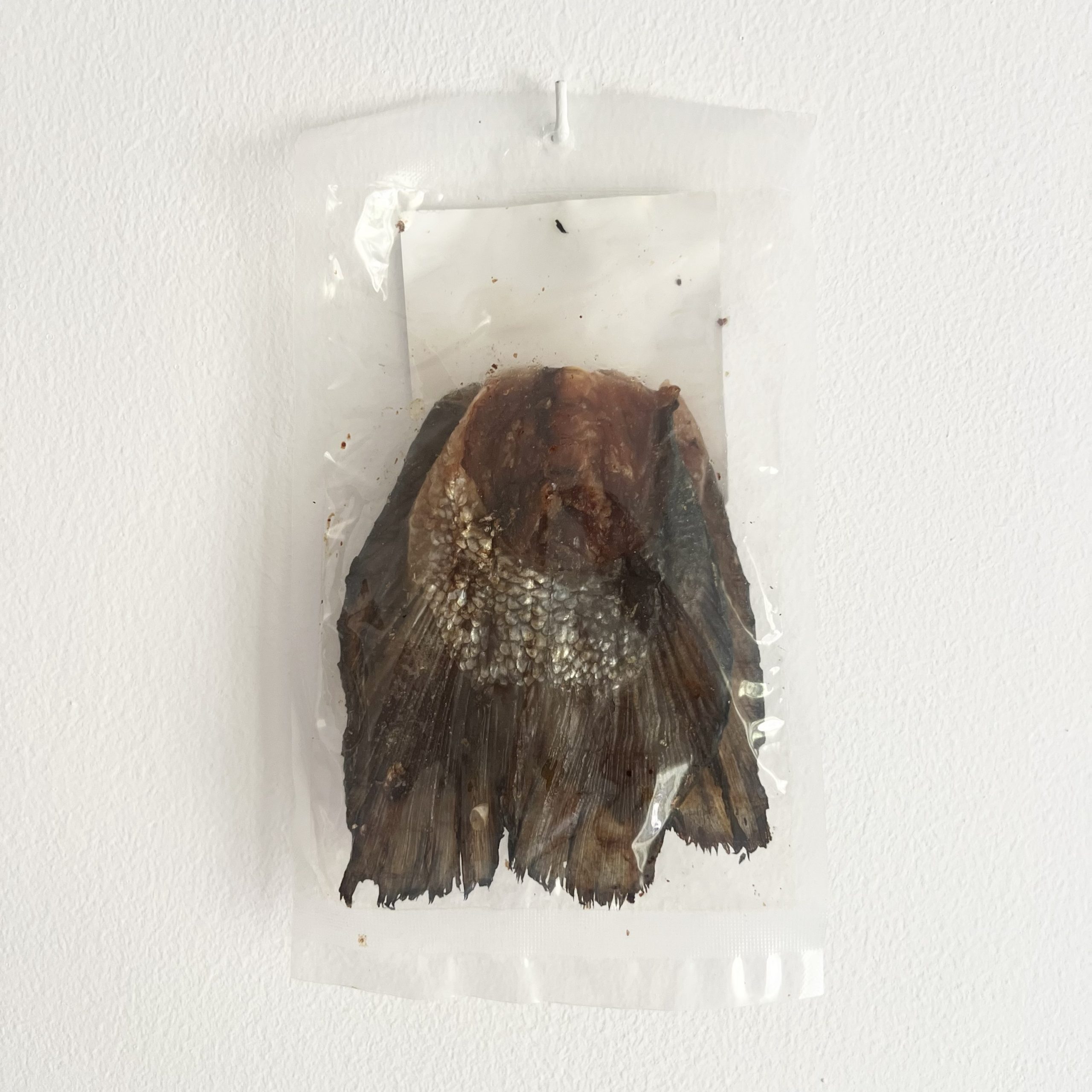 Cola de Salmón - 2 Unidades - Imagen 3