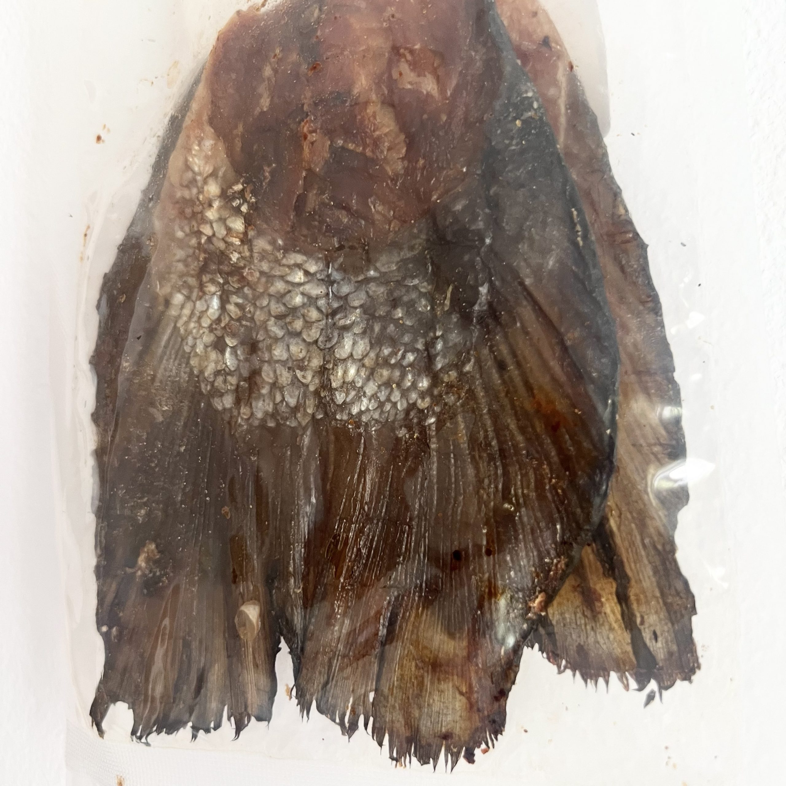 Cola de Salmón - 2 Unidades - Imagen 4