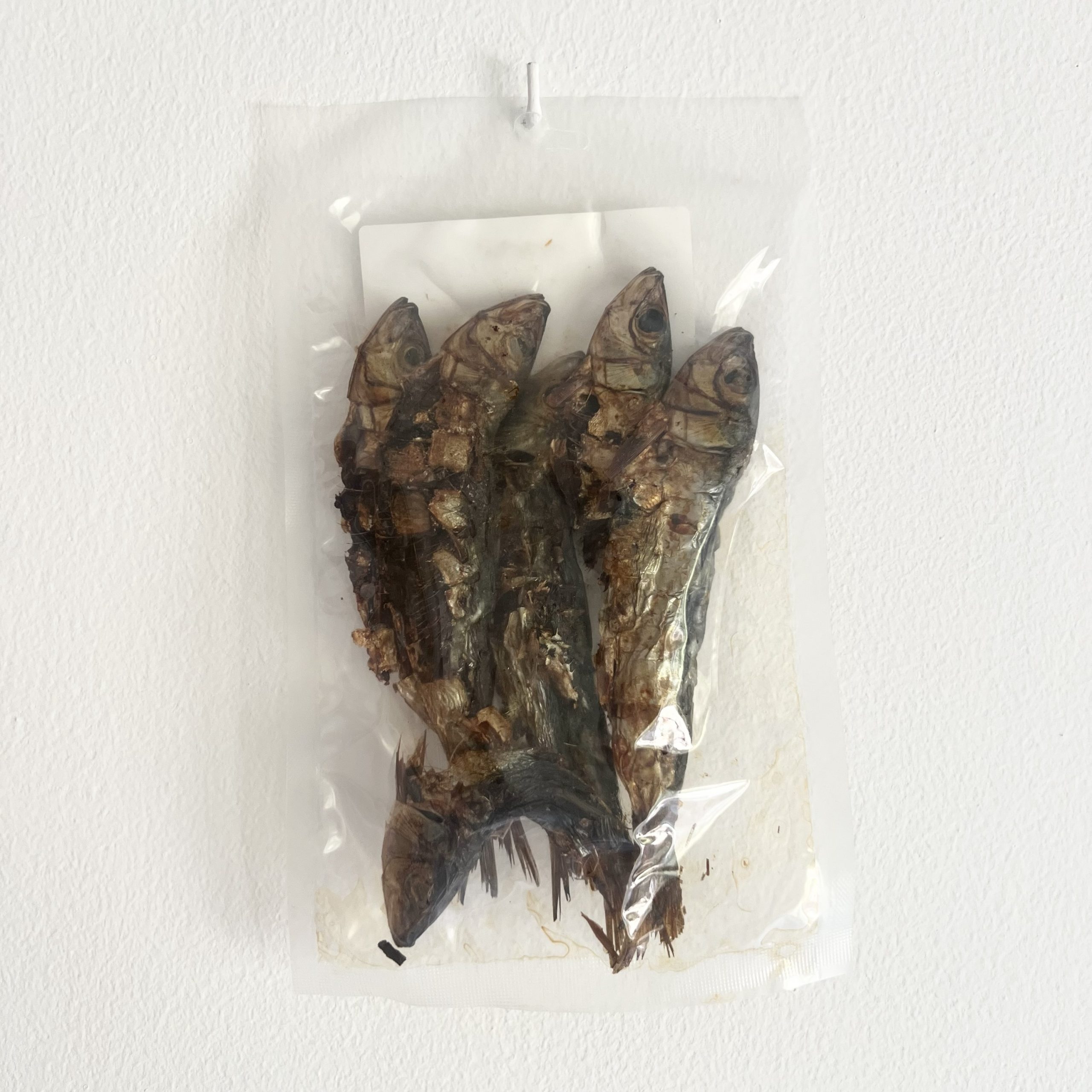 Sardinas deshidratadas - 70g - Imagen 3