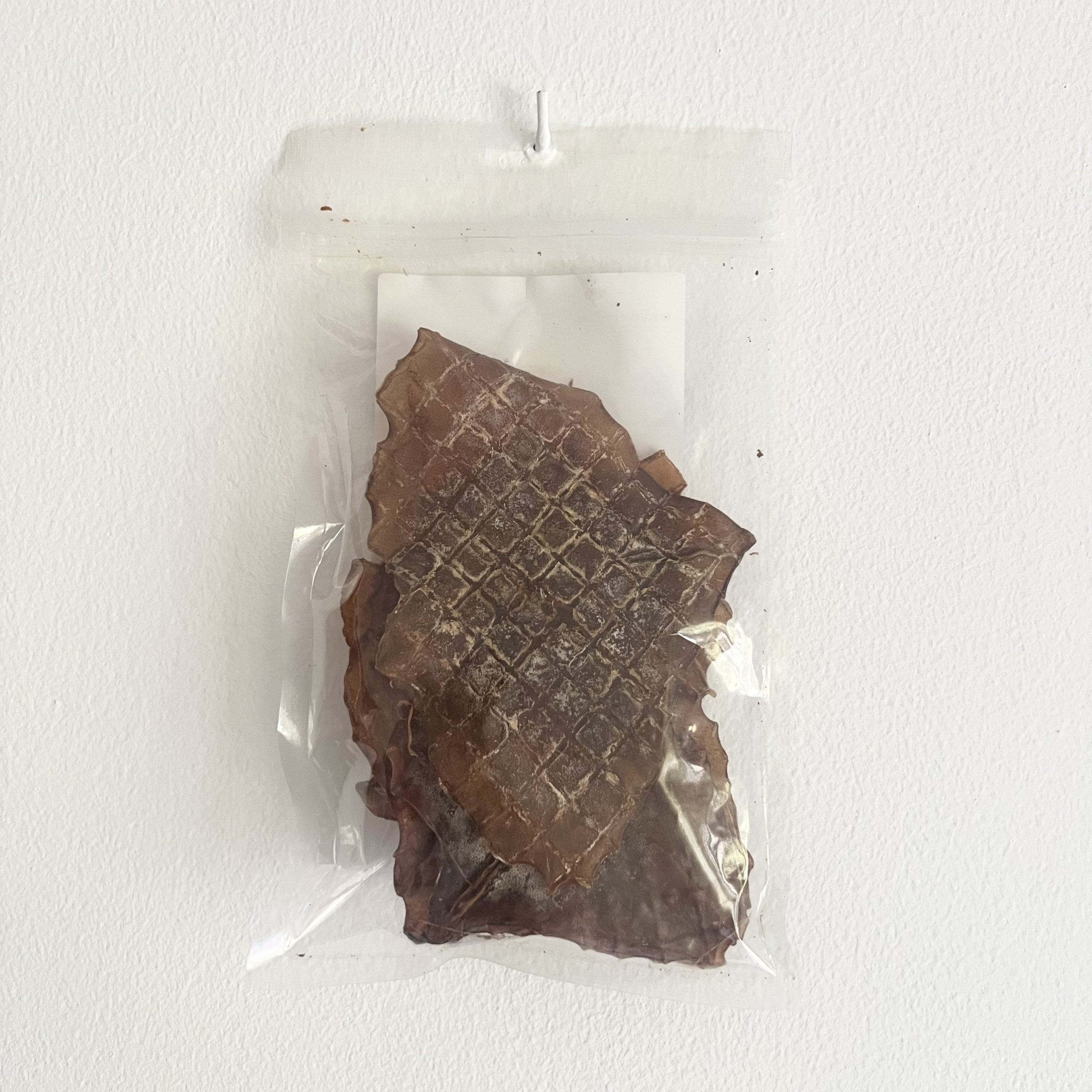 Alas de Pota - 60g - Imagen 3