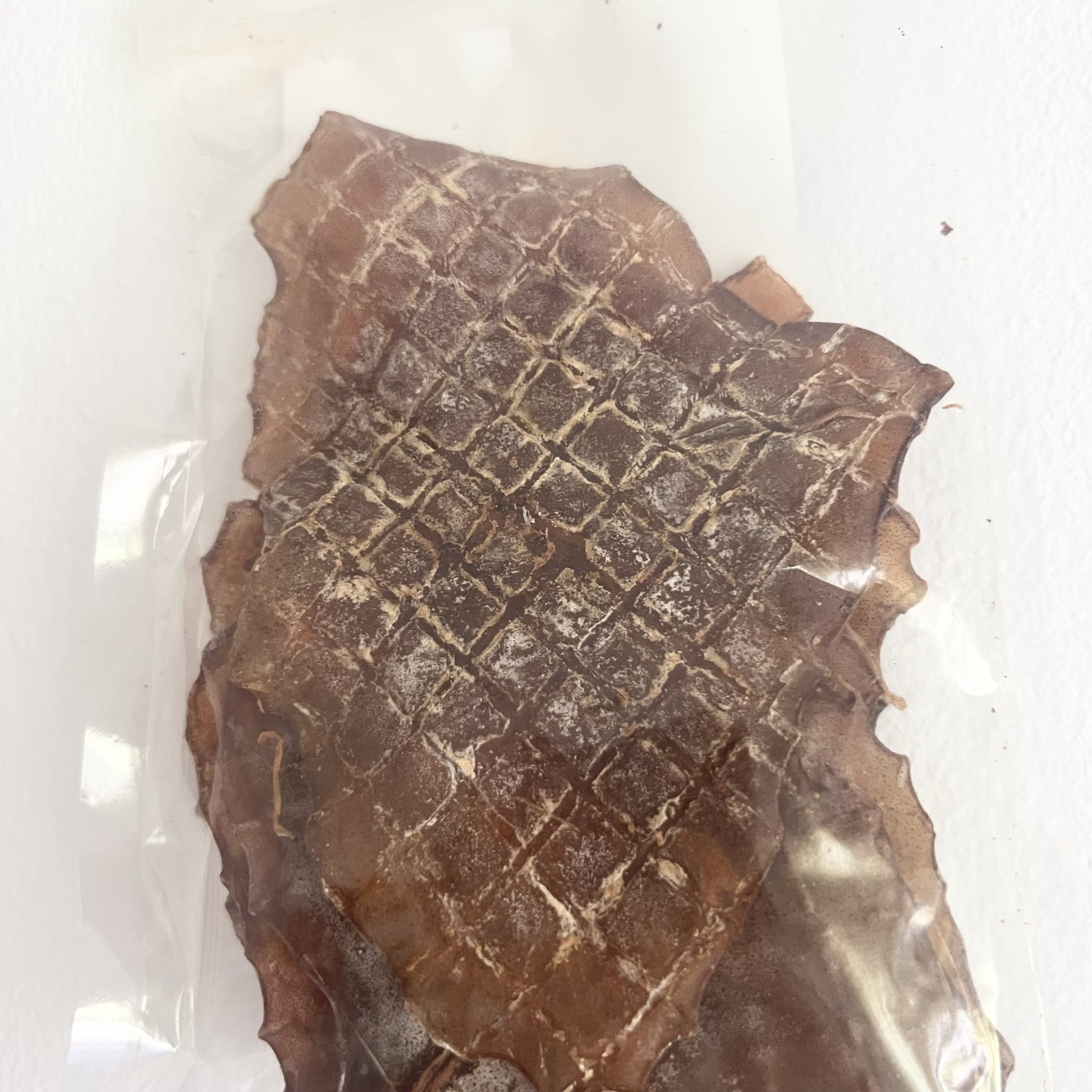 Alas de Pota - 60g - Imagen 4