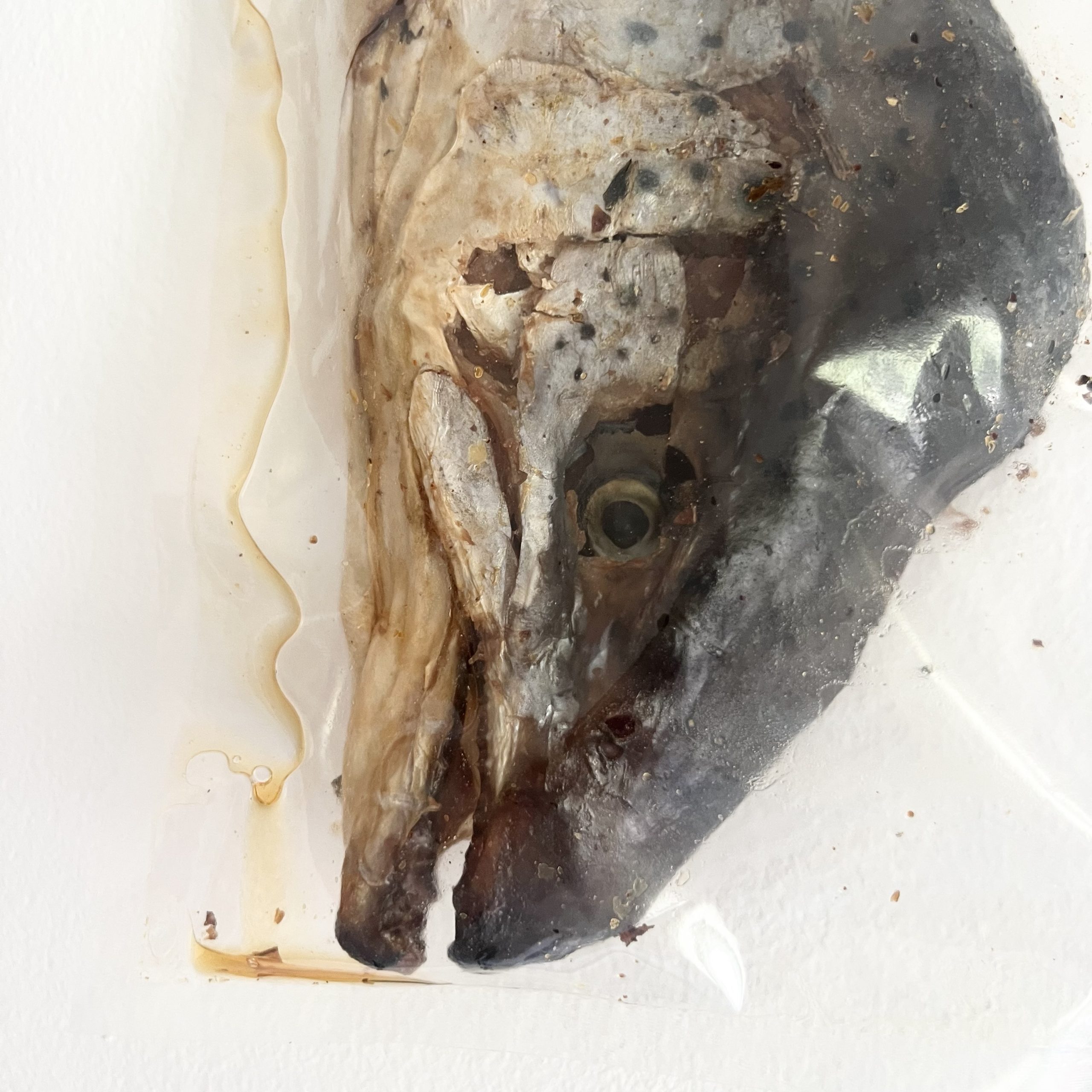 Mitad Cabeza de Salmón - Imagen 3