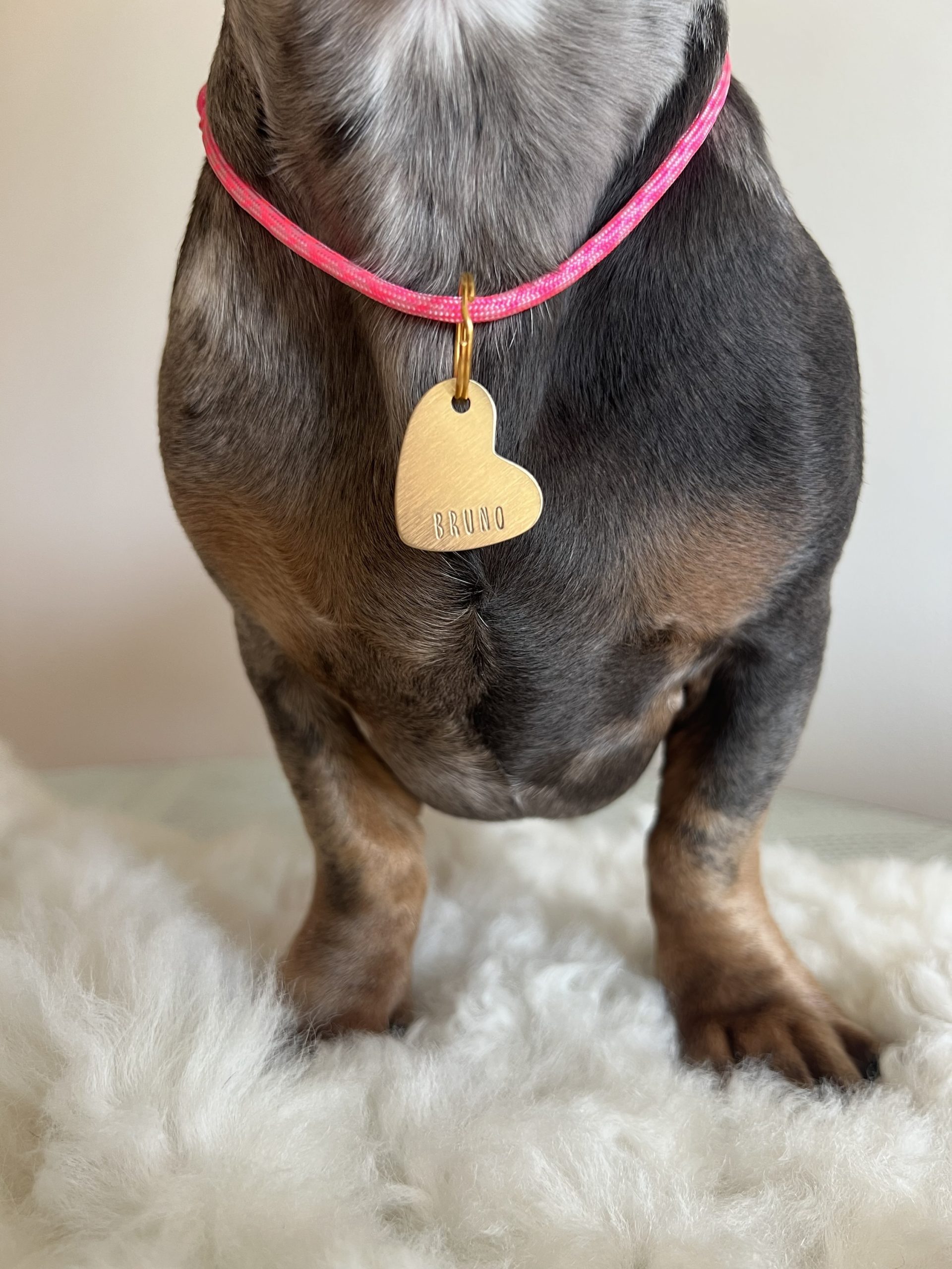 Chapa Identificativa CUORE - Imagen 2