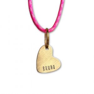 Chapa Identificativa CUORE