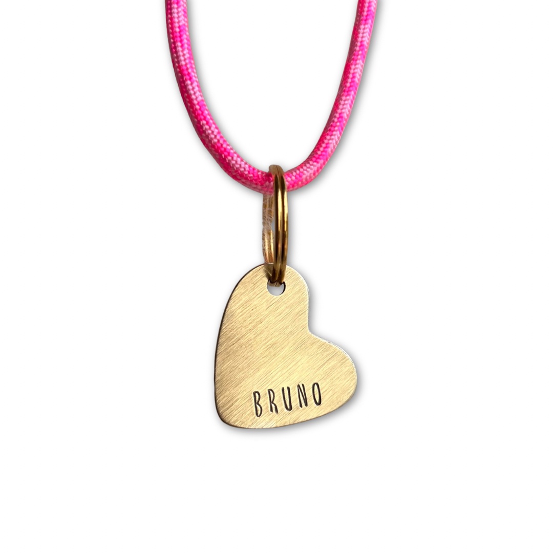 Chapa Identificativa CUORE