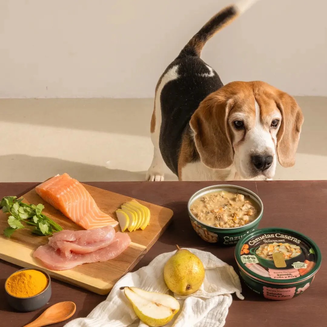 Cazuela casera de Salmón, Pollo y Pera para perros 280g - Imagen 7